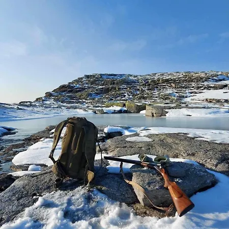 Handeland I Arctic Dome * Sauda