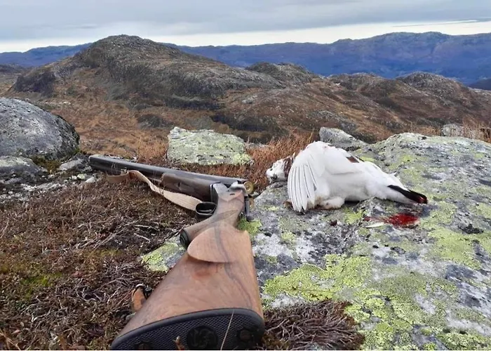 Handeland I Arctic Dome Luxe tent *