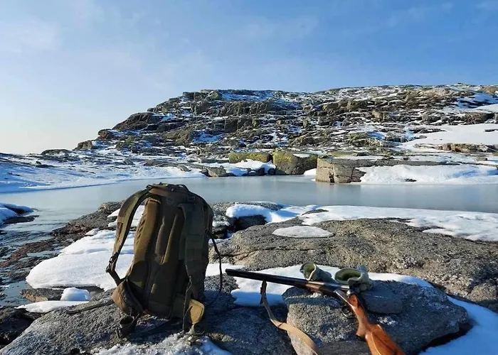 Handeland I Arctic Dome * Sauda